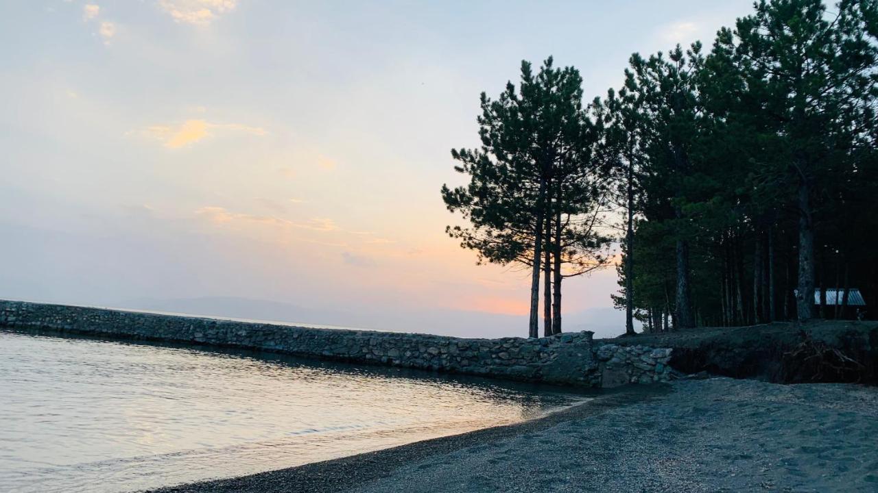 Zhayr Resort & Dive Drakhtik Exteriör bild